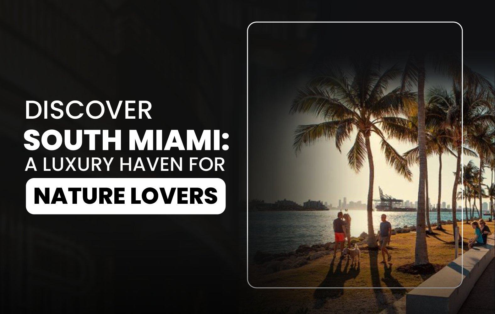 Discover South Miami: A Luxury Haven for Nature Lovers