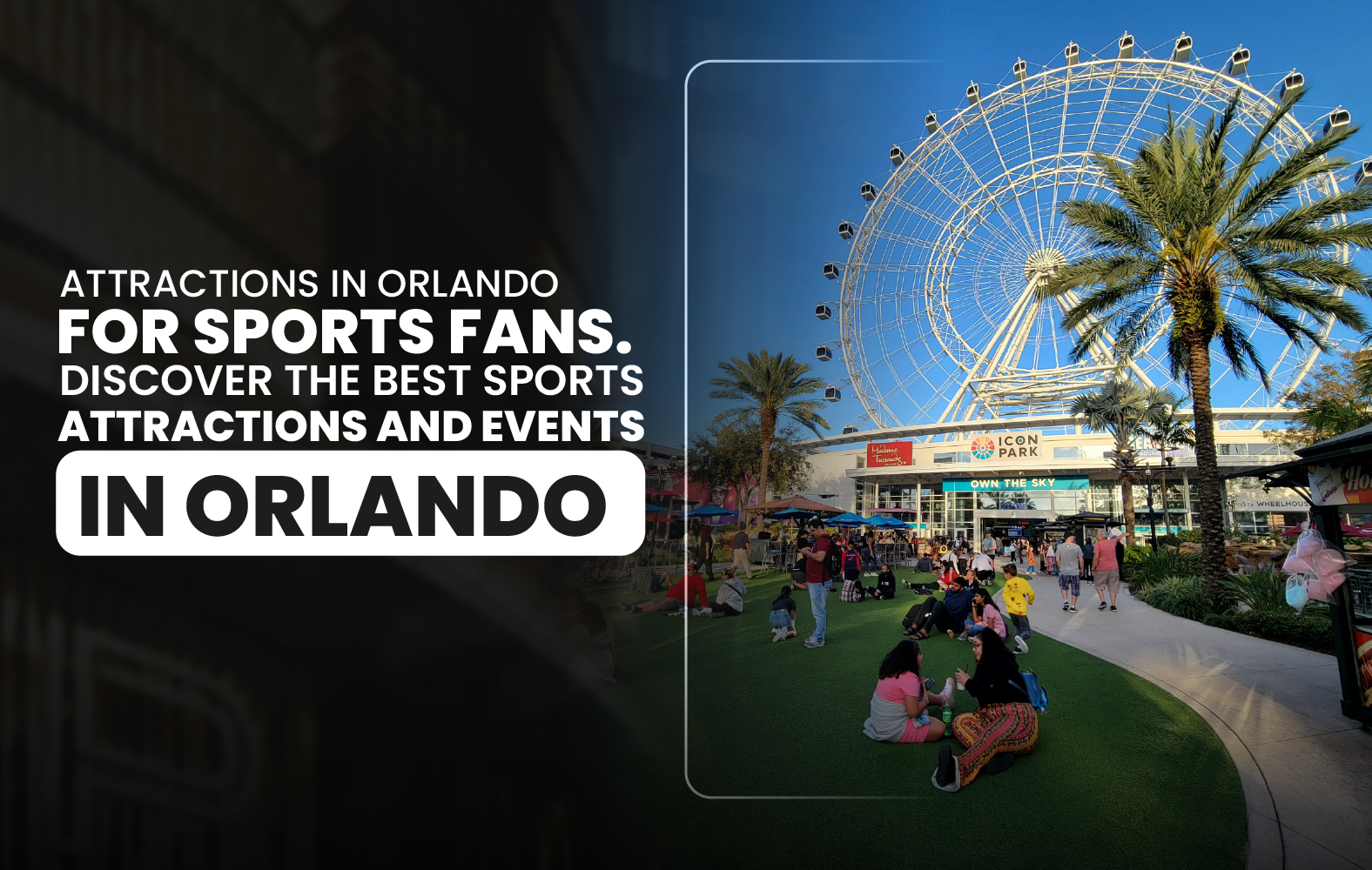 Attractions in Orlando for Sports Fans. Discover the Best Sports Attractions and Events in Orlando.