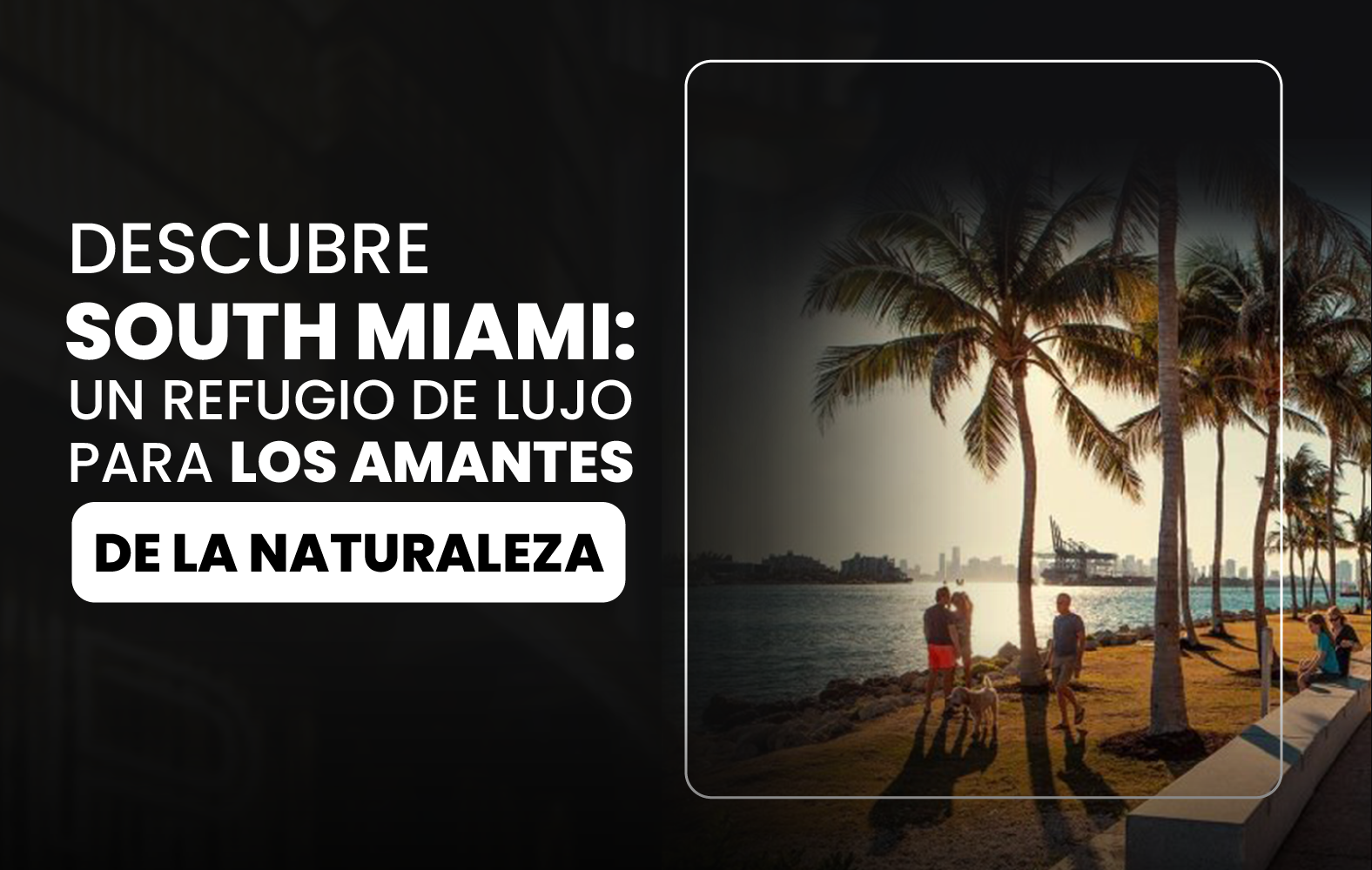 Descubre South Miami: un Refugio de lujo para los amantes de la naturaleza.
